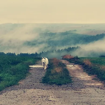 منزل للإقامة O'pozart